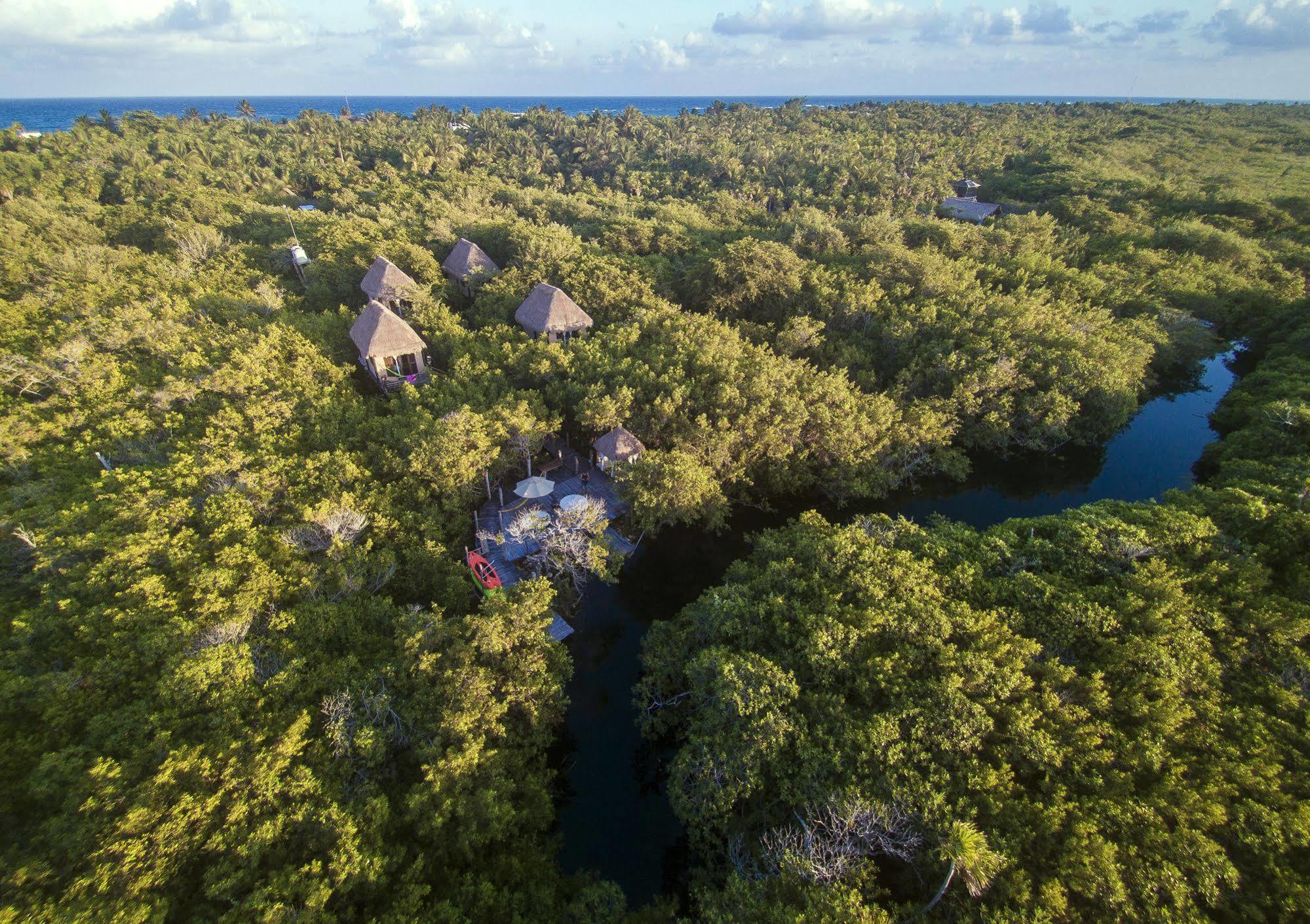 Manglex Eco Hotel Tulum Exterior photo